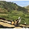 Load image into Gallery viewer, Ethiopian Yirgacheffe coffee drying on raised beds in a rural, mountainous landscape.