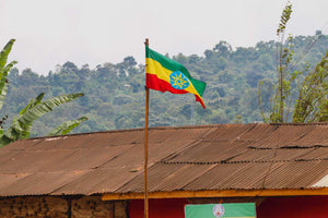 ETHIOPIA JIGESA GUJI