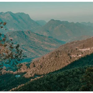 Lush green mountain range with forested hills and clear blue sky.