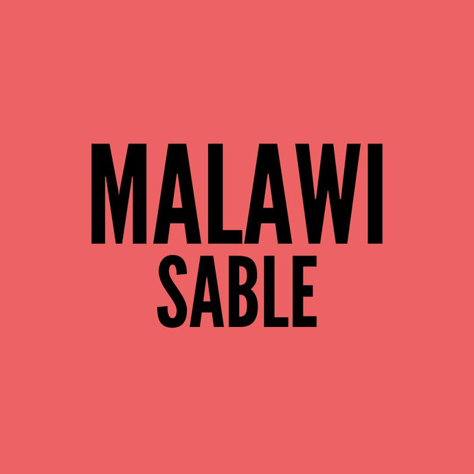 Malawi Sable